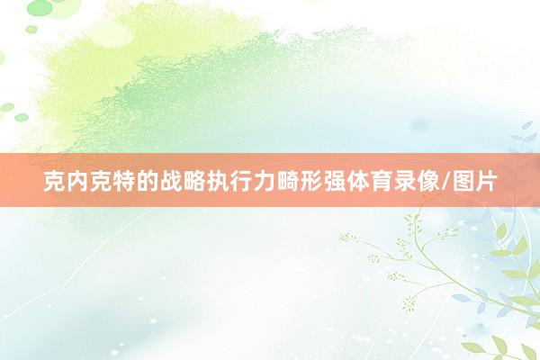 克内克特的战略执行力畸形强体育录像/图片