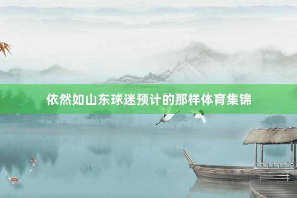 依然如山东球迷预计的那样体育集锦