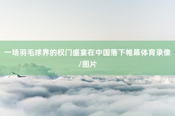 一场羽毛球界的权门盛宴在中国落下帷幕体育录像/图片