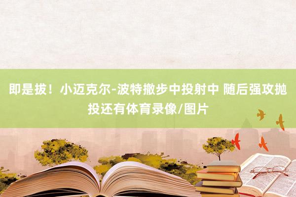 即是拔！小迈克尔-波特撤步中投射中 随后强攻抛投还有体育录像/图片