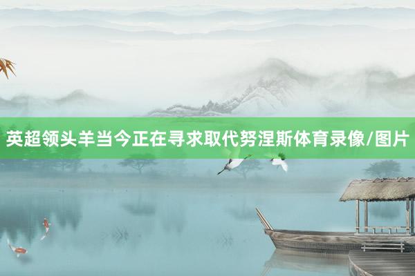 英超领头羊当今正在寻求取代努涅斯体育录像/图片