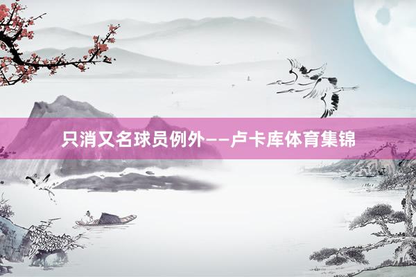 只消又名球员例外——卢卡库体育集锦