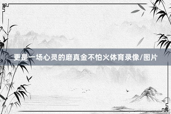 更是一场心灵的磨真金不怕火体育录像/图片
