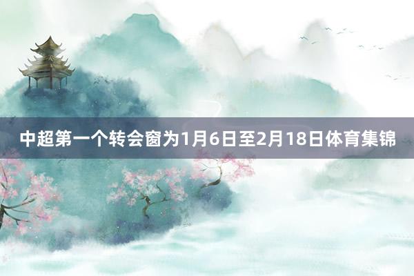 中超第一个转会窗为1月6日至2月18日体育集锦