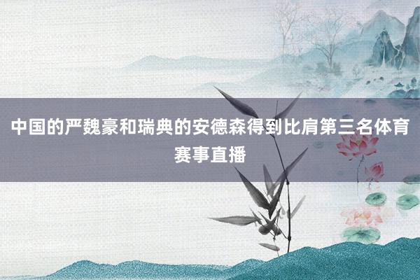 中国的严魏豪和瑞典的安德森得到比肩第三名体育赛事直播
