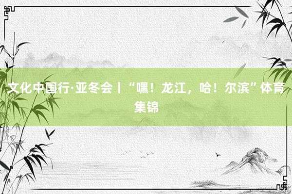 文化中国行·亚冬会丨“嘿!龙江,哈!尔滨”体育集锦