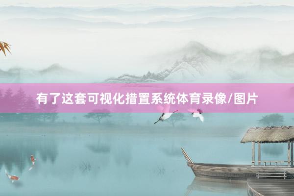 有了这套可视化措置系统体育录像/图片