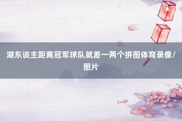 湖东谈主距离冠军球队就差一两个拼图体育录像/图片
