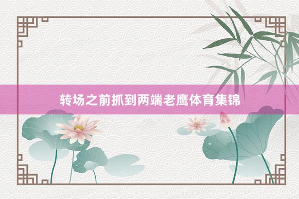 转场之前抓到两端老鹰体育集锦