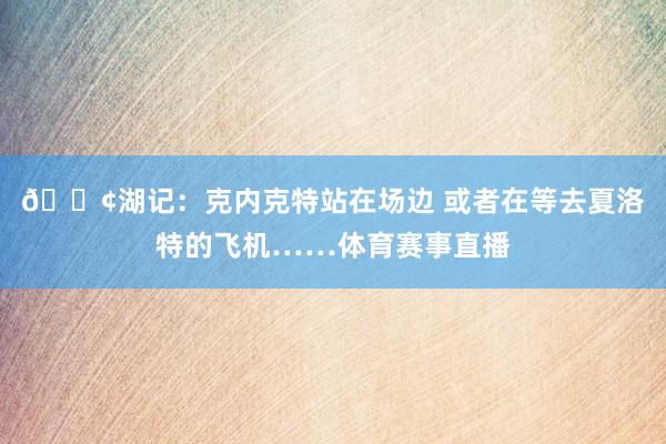 😢湖记：克内克特站在场边 或者在等去夏洛特的飞机……体育赛事直播