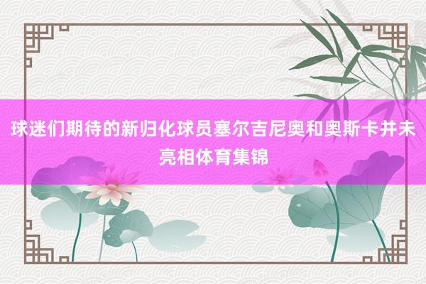 球迷们期待的新归化球员塞尔吉尼奥和奥斯卡并未亮相体育集锦