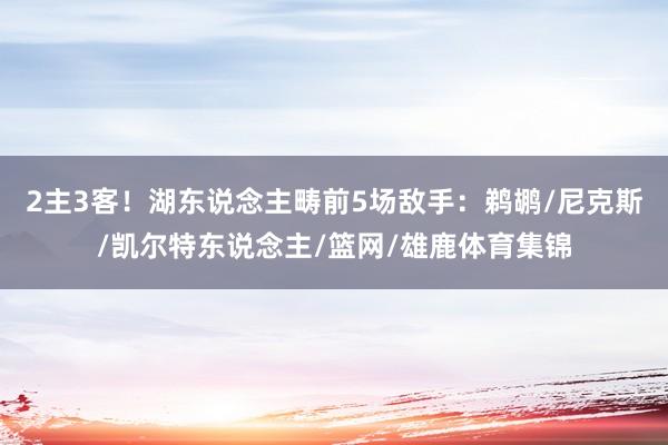 2主3客！湖东说念主畴前5场敌手：鹈鹕/尼克斯/凯尔特东说念主/篮网/雄鹿体育集锦