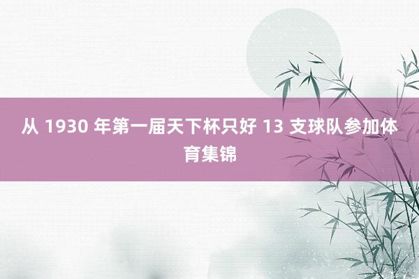 从 1930 年第一届天下杯只好 13 支球队参加体育集锦