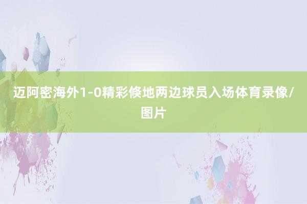 迈阿密海外1-0精彩倏地两边球员入场体育录像/图片