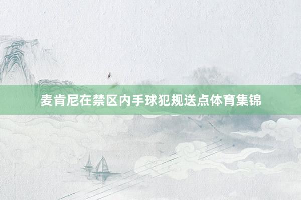 麦肯尼在禁区内手球犯规送点体育集锦