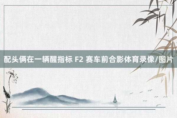 配头俩在一辆醒指标 F2 赛车前合影体育录像/图片