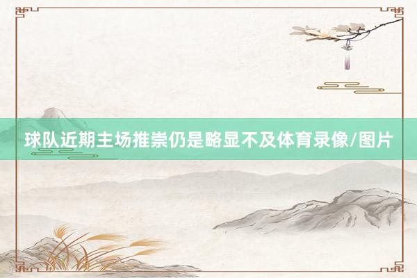 球队近期主场推崇仍是略显不及体育录像/图片