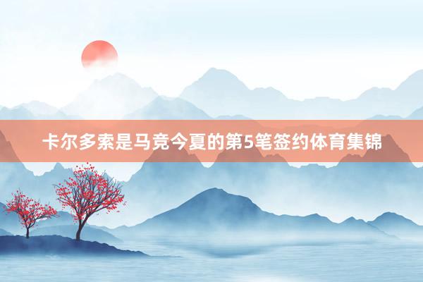 卡尔多索是马竞今夏的第5笔签约体育集锦