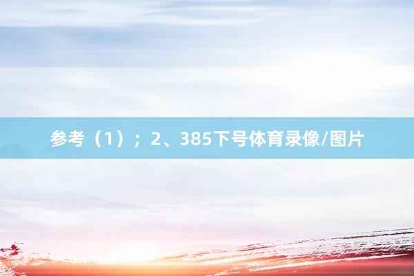 参考（1）；　　2、385下号体育录像/图片