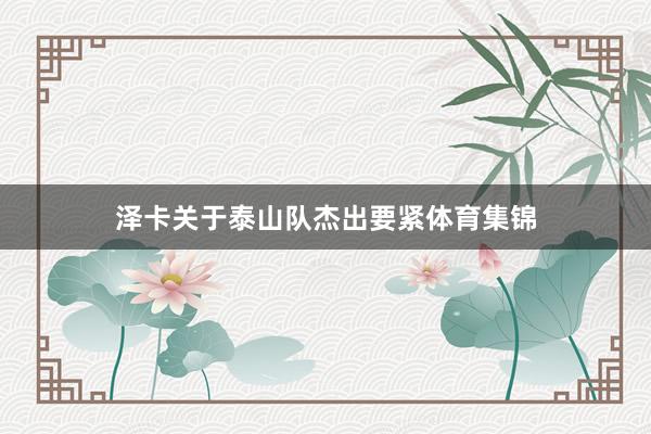 泽卡关于泰山队杰出要紧体育集锦