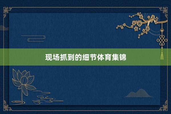 现场抓到的细节体育集锦