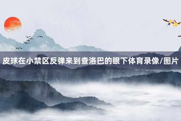 皮球在小禁区反弹来到查洛巴的眼下体育录像/图片