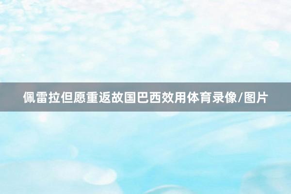 佩雷拉但愿重返故国巴西效用体育录像/图片