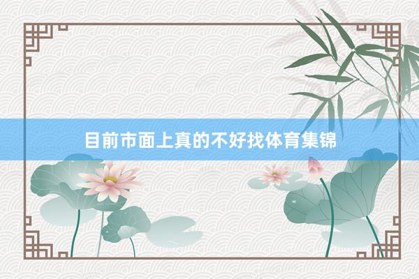 目前市面上真的不好找体育集锦