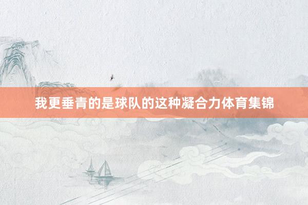 我更垂青的是球队的这种凝合力体育集锦