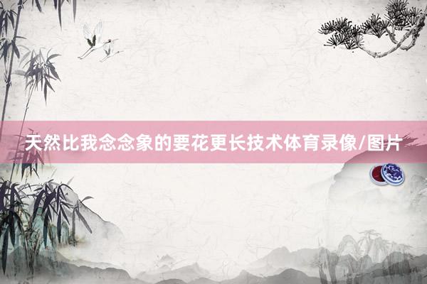 天然比我念念象的要花更长技术体育录像/图片