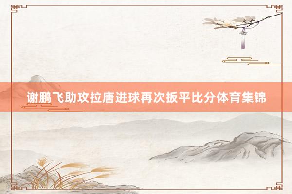 谢鹏飞助攻拉唐进球再次扳平比分体育集锦