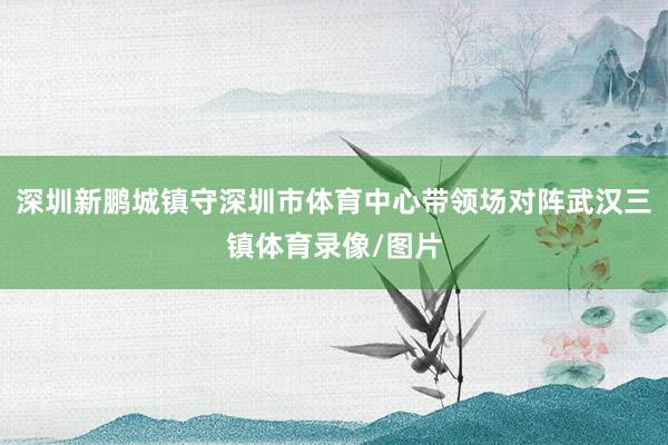 深圳新鹏城镇守深圳市体育中心带领场对阵武汉三镇体育录像/图片