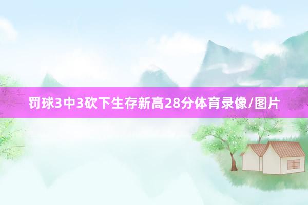 罚球3中3砍下生存新高28分体育录像/图片