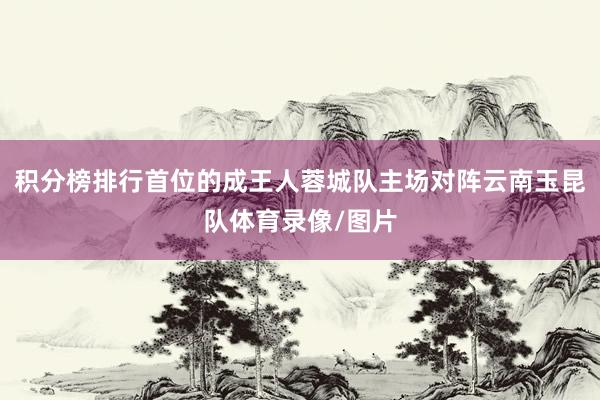 积分榜排行首位的成王人蓉城队主场对阵云南玉昆队体育录像/图片