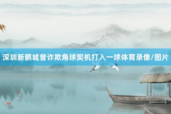 深圳新鹏城曾诈欺角球契机打入一球体育录像/图片