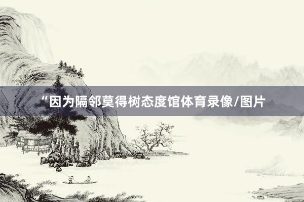 “因为隔邻莫得树态度馆体育录像/图片