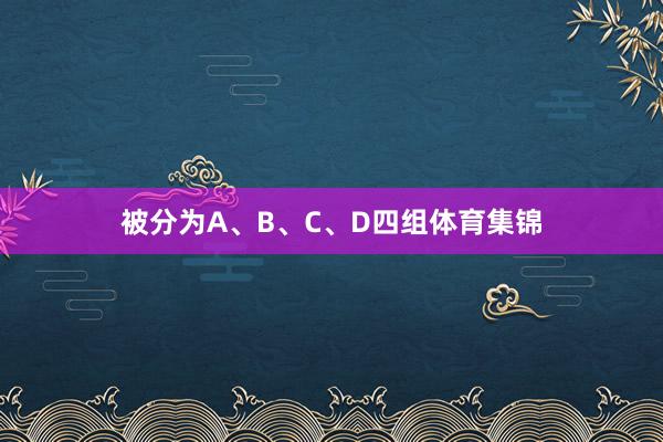 被分为A、B、C、D四组体育集锦