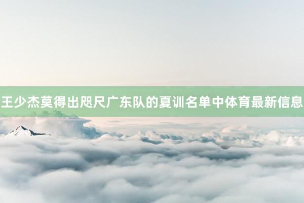 王少杰莫得出咫尺广东队的夏训名单中体育最新信息